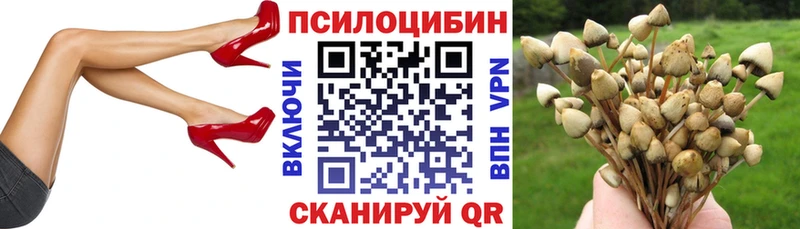 Галлюциногенные грибы MAGIC MUSHROOMS  где купить наркоту  Пушкино 